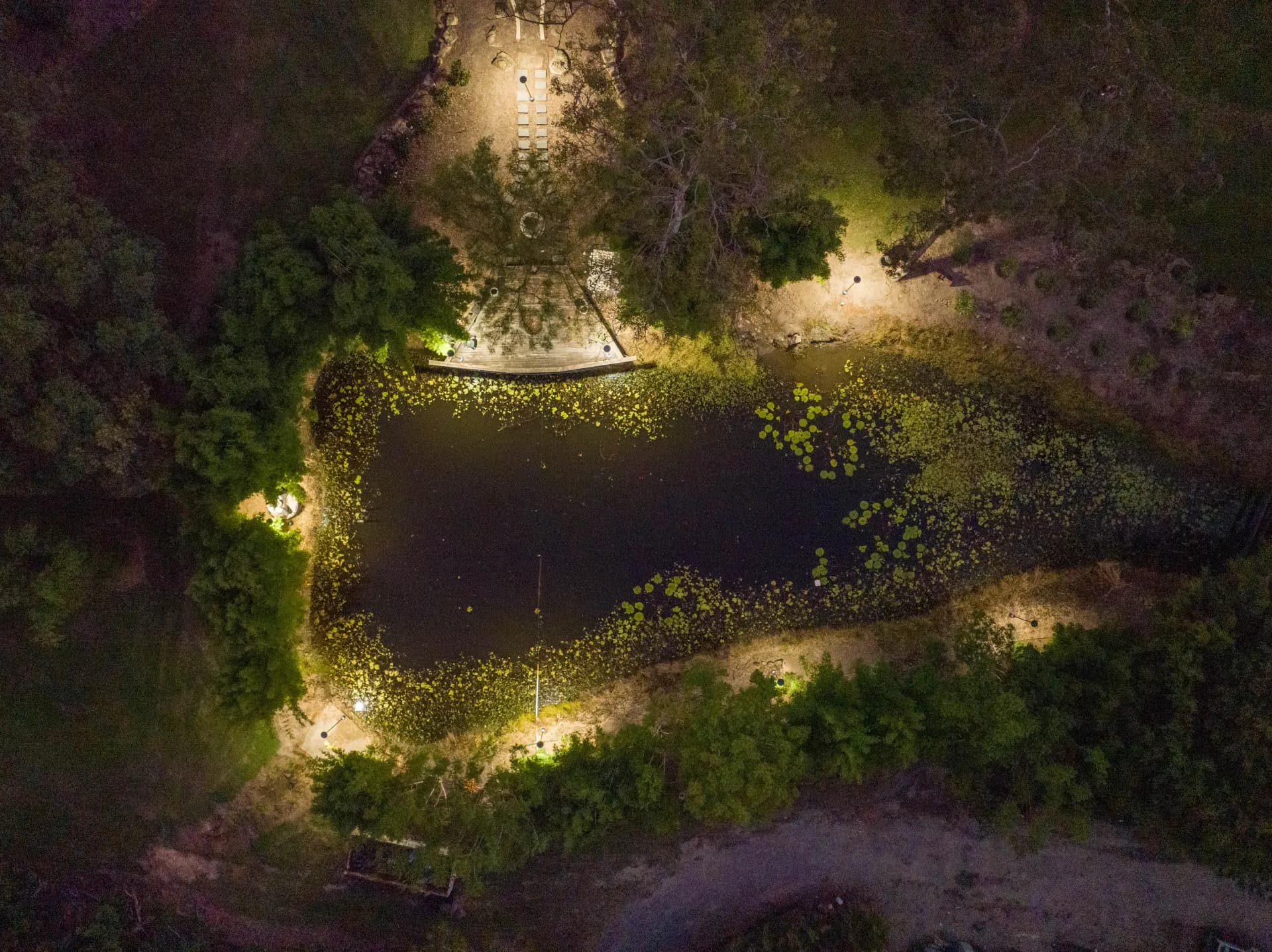 Case Study: Bioscapes Award-Winning Landscape Lighting